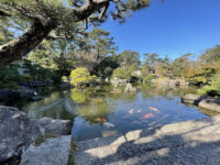 Hayama Shiosai Park Travel Forum Reviews