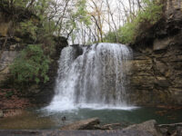 Hayden Falls Park Travel Forum Reviews