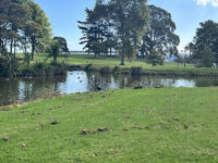 Hayman Park Travel Forum Reviews