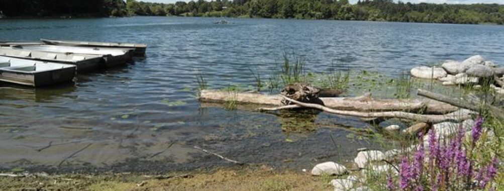 Heart Lake Conservation Park Travel Forum Reviews