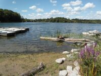 Heart Lake Conservation Park Travel Forum Reviews