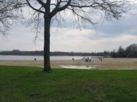 Heempark 's-Hertogenbosch Travel Forum Reviews