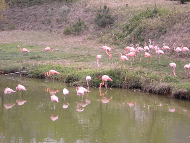 Hefei Wildlife Park