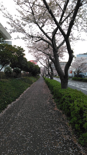 Heiseicho