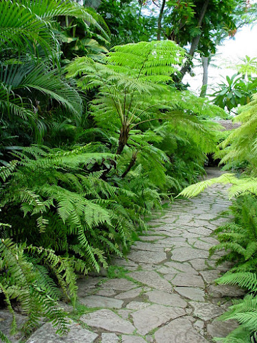 Helechos Garden