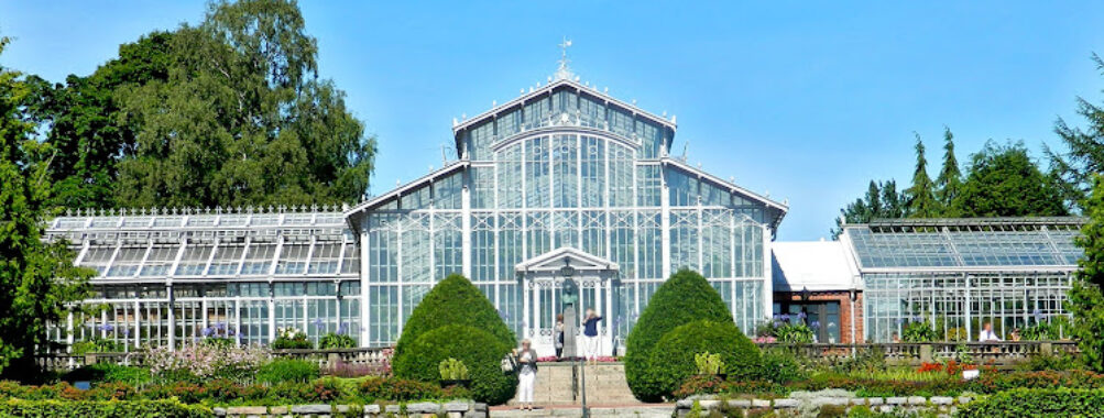 Helsinki Winter Garden Travel Forum Reviews