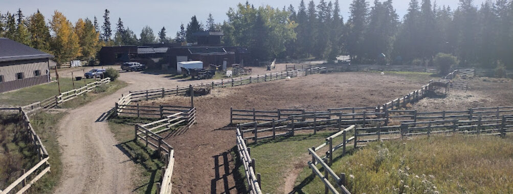 Heritage Ranch Travel Forum Reviews