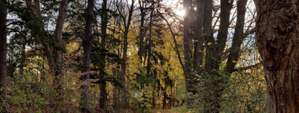 Hermitage Park Travel Forum Reviews