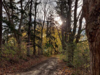 Hermitage Park Travel Forum Reviews
