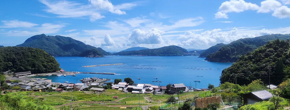 Hibiki Rice Terraces Travel Forum Reviews