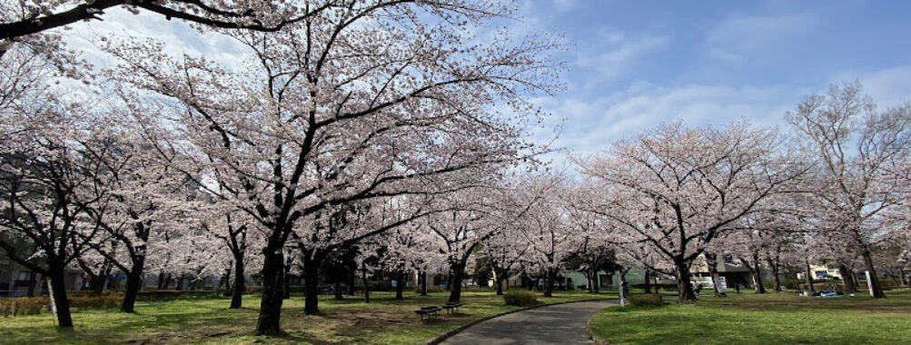Higashi-Ayase Park Travel Forum Reviews