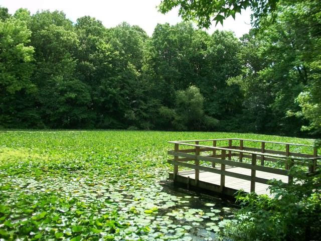 High Rock Park