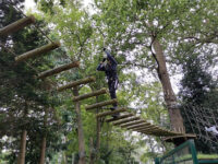 High Ropes at The Oakwood Travel Forum Reviews