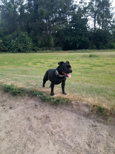Higher Bebington Recreation Ground ,