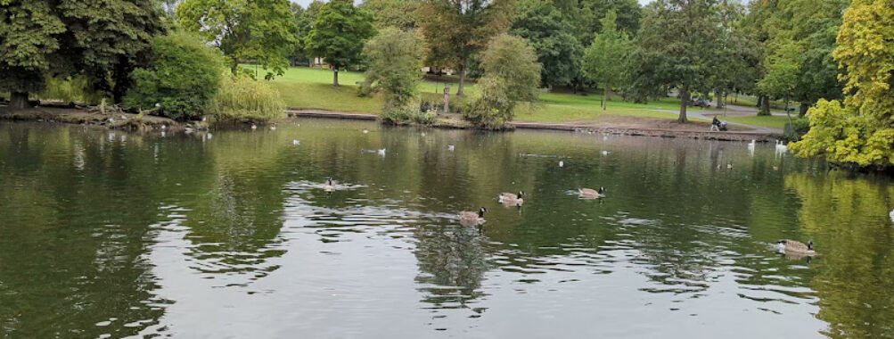 Hillsborough Park Travel Forum Reviews