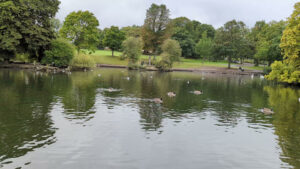 Hillsborough Park