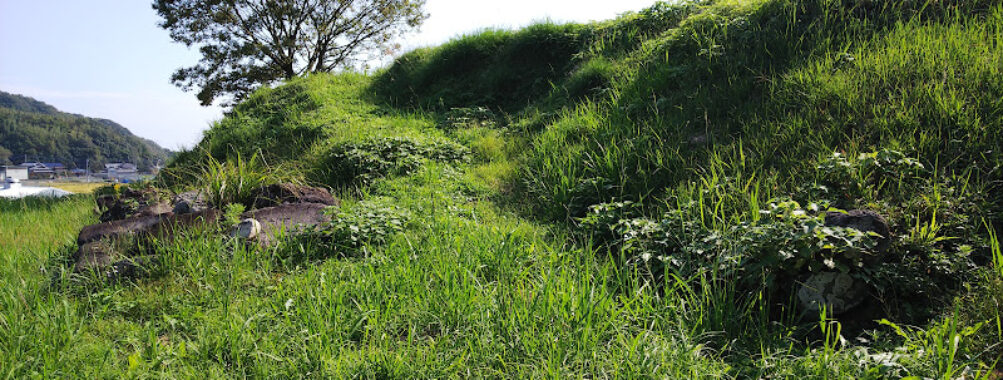 Hinoe Castle Ruins Travel Forum Reviews