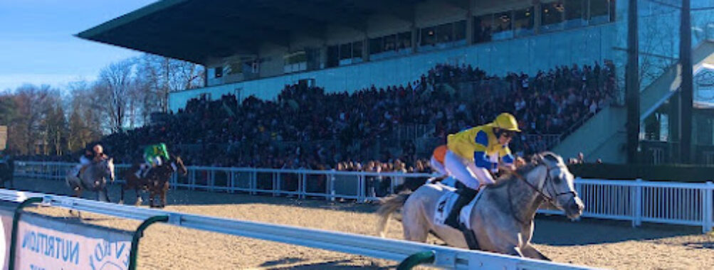Hippodrome de Pau Travel Forum Reviews