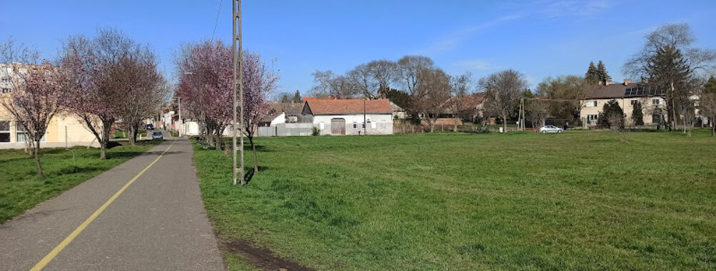 Hódtói park Travel Forum Reviews