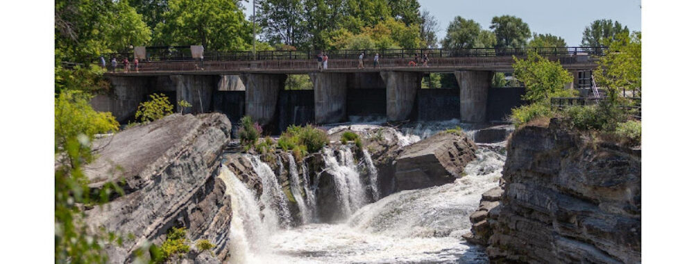 Hog's Back Park Travel Forum Reviews