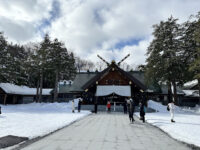 Hokkaido Jingu Travel Forum Reviews