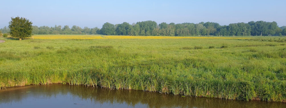 Hollandsche Biesbosch Travel Forum Reviews