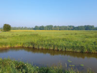 Hollandsche Biesbosch Travel Forum Reviews