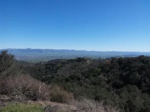 Hollister Park Maintenance