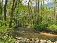 Holmes Run Stream Valley Park Travel Forum Reviews