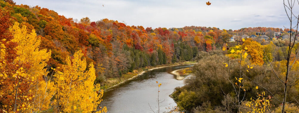 Homer Watson Park Travel Forum Reviews