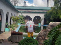 HopeFay Conference Centre Travel Forum Reviews