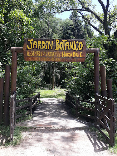Horco Molle Botanical Garden