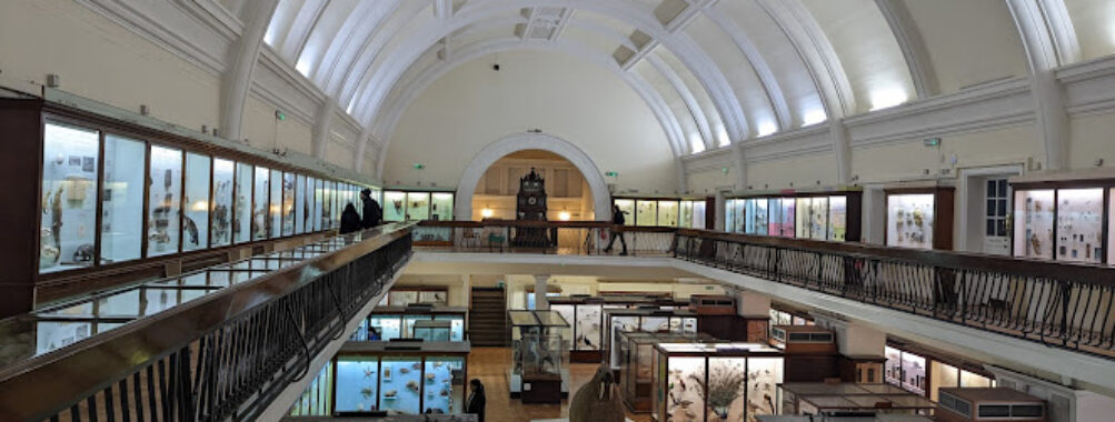 Horniman Museum and Gardens Travel Forum Reviews