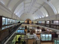 Horniman Museum and Gardens Travel Forum Reviews