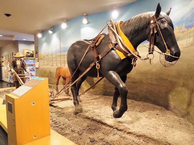 Horse Museum