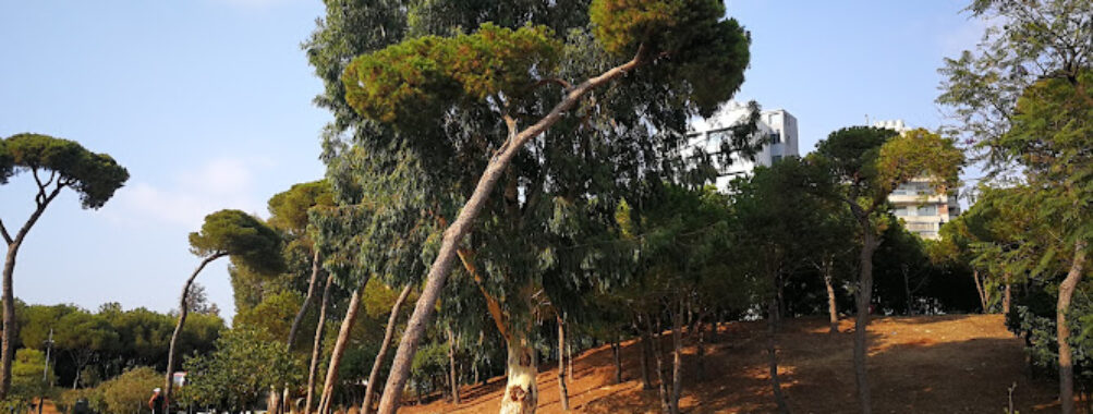 Horsh Beirut Travel Forum Reviews
