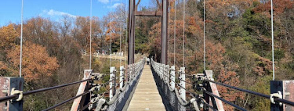 Hoshi no Buranko Travel Forum Reviews