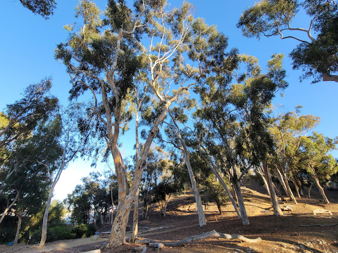 Hosp Grove Park