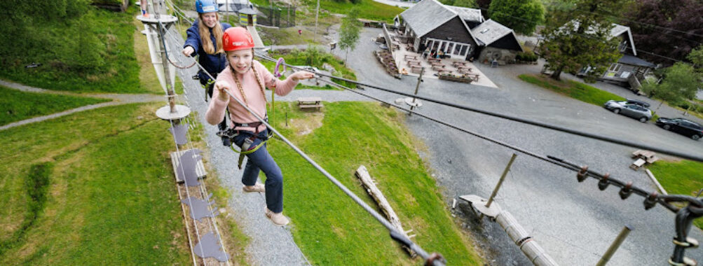 Høyt & Lavt Bergen Travel Forum Reviews