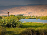 Hula Nature Reserve Travel Forum Reviews