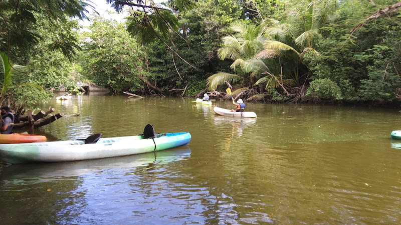 Humacao Nature Preserve