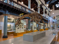Hunterian Art Gallery Travel Forum Reviews