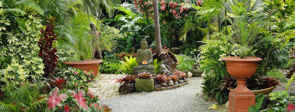 Hunte's Gardens Travel Forum Reviews