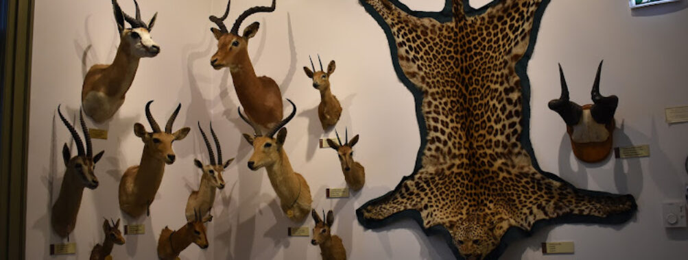 Hunting Museum Travel Forum Reviews