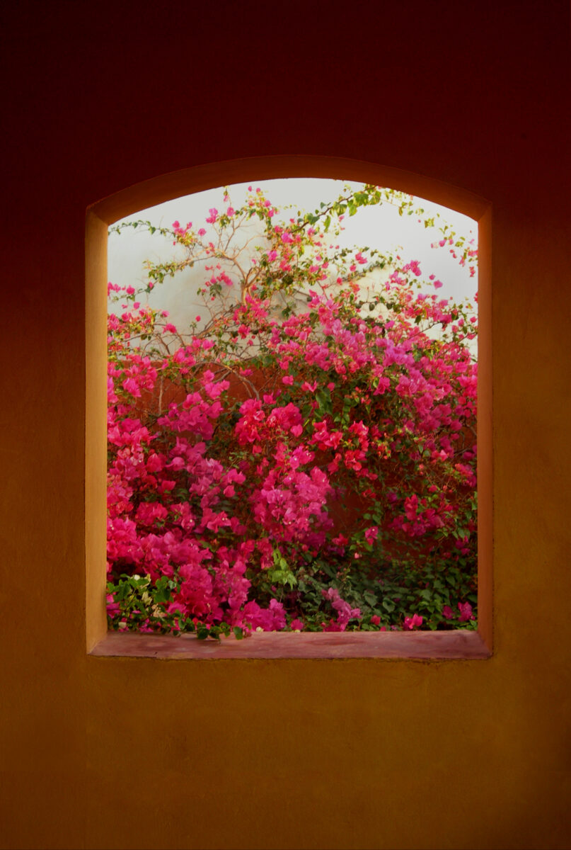 Private transfer from Kalawy Bay and Safaga hotels to Cairo Review