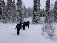 Huskypoint Käpälämäki Travel Forum Reviews
