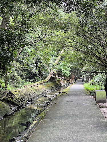 Hutan Kota Pekanbaru
