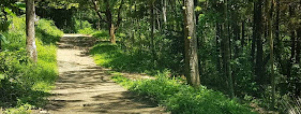 Hutan Pinus Lapangan Tembak Bandar Lampung Travel Forum Reviews