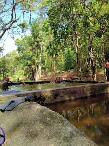 Hutan Simpan Beserah