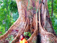 Huyong-huyong Nature Park Travel Forum Reviews